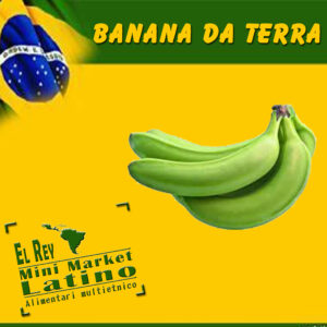 Banana Verdi al peso kg, platano verde